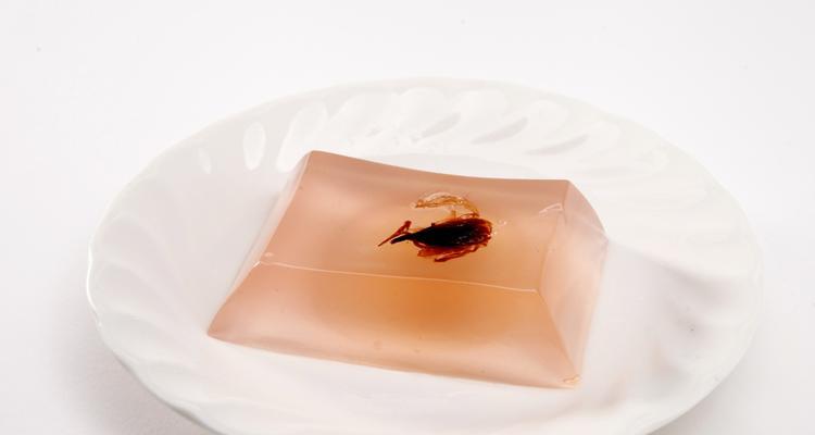 樱花布丁怎么做？樱花布丁制作过程中常见问题解答？