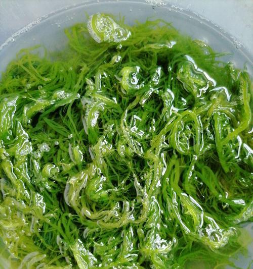 荫凤梨炒龙须菜怎么做？步骤和技巧是什么？