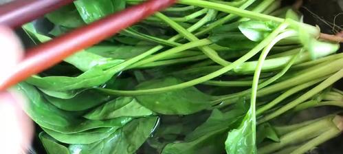 如何制作塑身减肥快炒海米菠菜？应季食材有哪些健康功效？