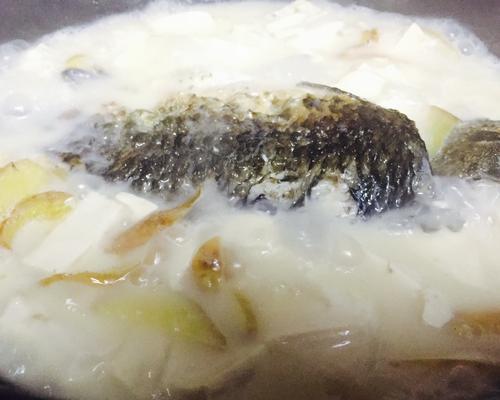野生鲫鱼煨豆腐怎么做？步骤和技巧有哪些？