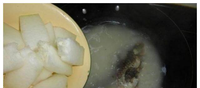 野生鲫鱼冬瓜汤怎么做？有哪些健康益处？