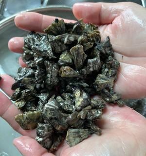 野生干巴菌怎么做？有哪些独特做法和技巧？