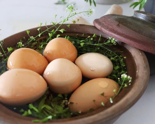 野荠菜炒鸡蛋怎么做？步骤和技巧有哪些？