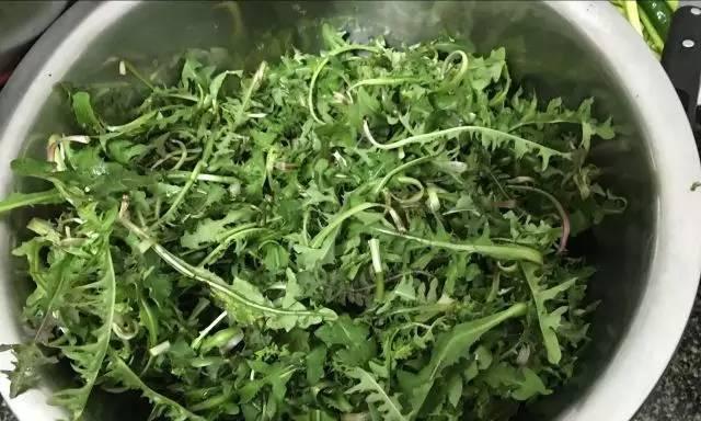 野蒿子炒蛋怎么做？有哪些步骤和技巧？