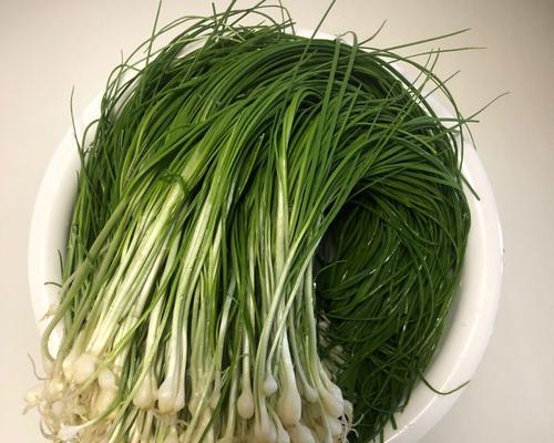 野葱焖肉怎么做？步骤和技巧有哪些？