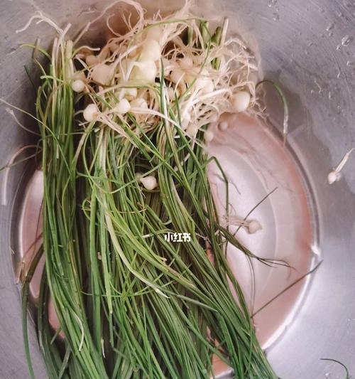 野葱鸡蛋饼怎么做？步骤和技巧有哪些？