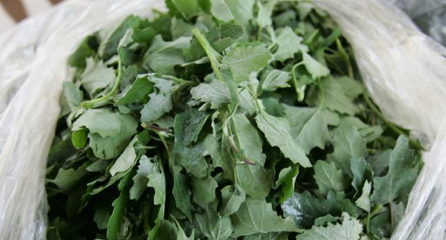 野菜馅饺子怎么做？有哪些步骤和技巧？