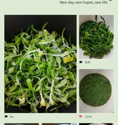 野菜粑粑怎么做？有哪些简单易学的步骤？