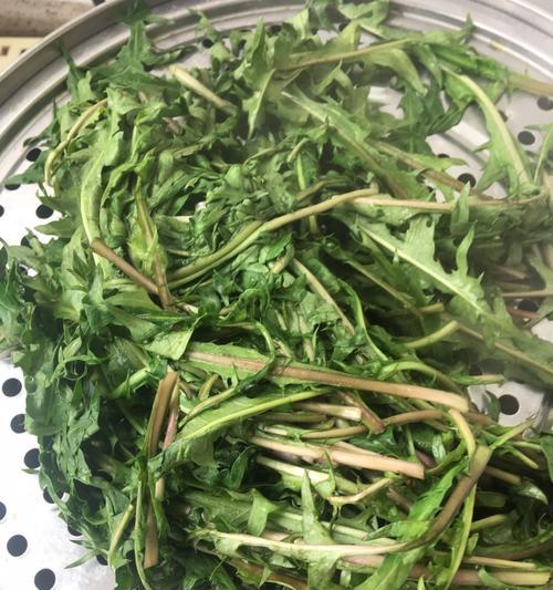 药膳蒲公英蒸菜怎么做？有哪些健康益处？