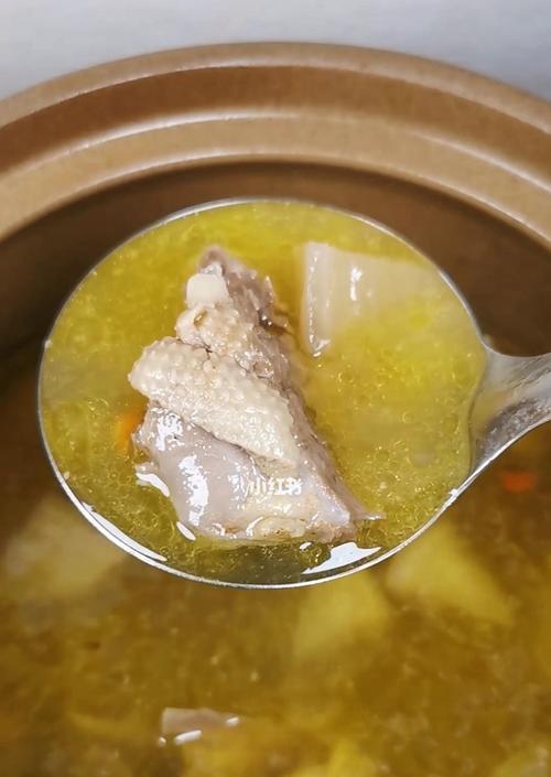 养生萝卜老鸭汤怎么做？有哪些步骤和注意事项？