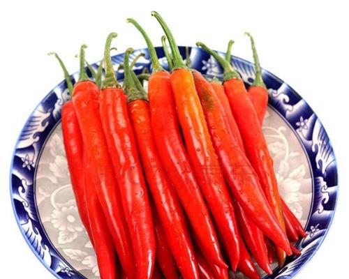 洋河炒美人椒的做法是什么？如何在家轻松制作？