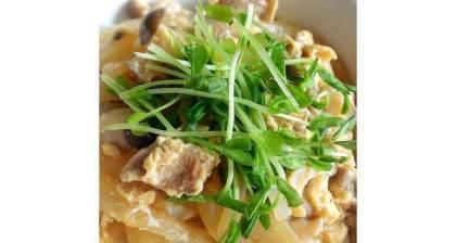洋葱猪肉亲子丼怎么做？步骤和技巧有哪些？