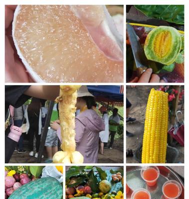 杨桃百香果低脂餐怎么做？有哪些健康益处？