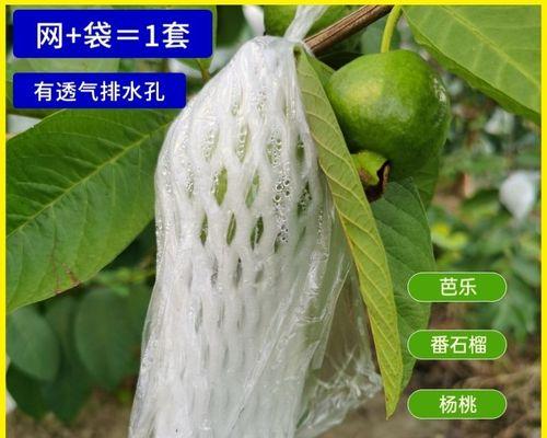 杨桃百香果低脂餐怎么做？有哪些健康益处？