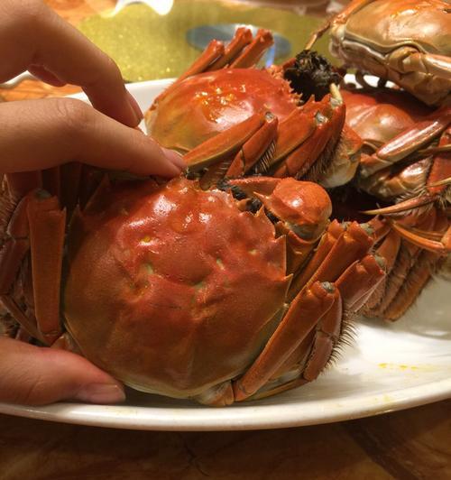 阳澄湖大闸蟹怎么蒸才最美味？蒸制步骤和技巧是什么？