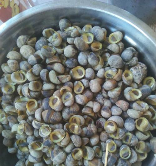 羊栖菜大豆煮的做法是什么？如何煮出美味的羊栖菜大豆？