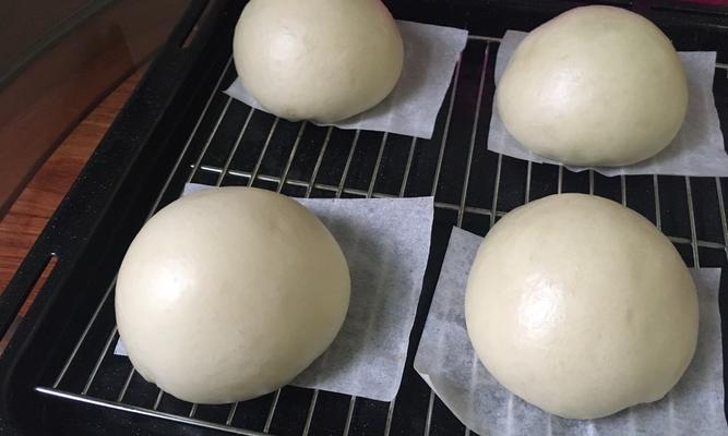燕麦瓜仁椰蓉包怎么做？制作过程中有哪些常见问题？