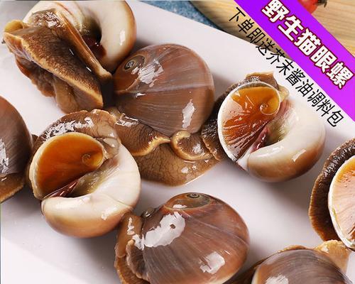 盐水玉螺怎么做？步骤和技巧有哪些？
