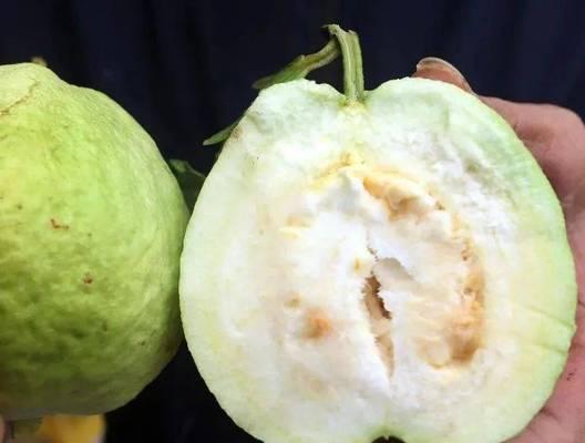 盐局桂虾怎么做？详细步骤和技巧是什么？