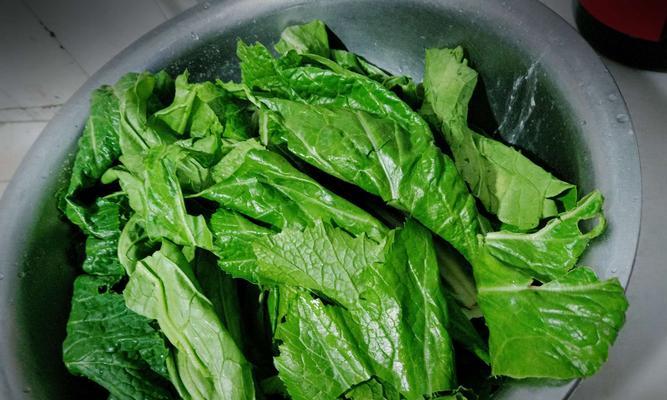 如何在家自制美味腌制泡菜？步骤和常见问题解答？