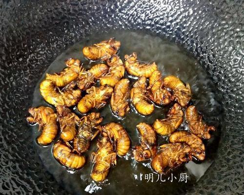 香辣油炸干煸知了猴怎么做？步骤和技巧是什么？