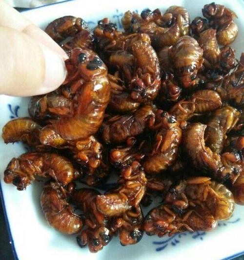 香辣油炸干煸知了猴怎么做？步骤和技巧是什么？