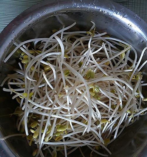 香辣黄豆芽怎么做才好吃？详细步骤和技巧是什么？