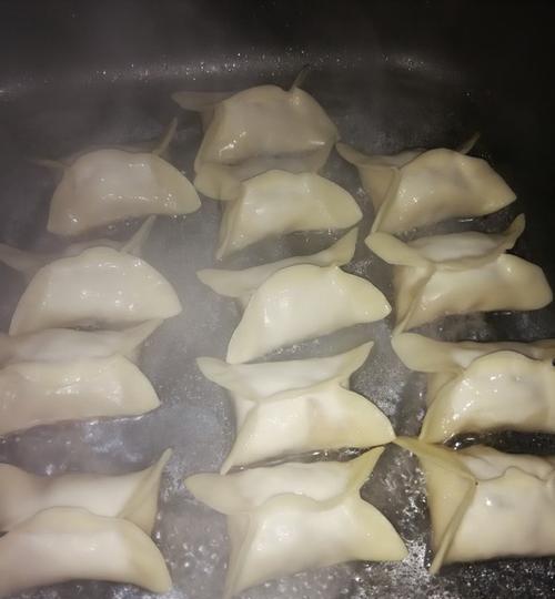鲜肉煎饺怎么做？步骤和技巧有哪些？