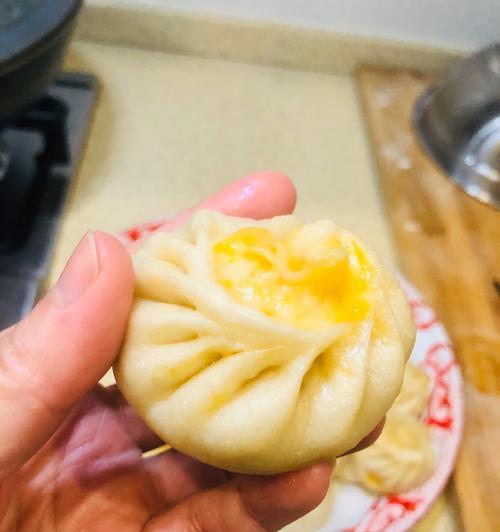 鲜肉包怎么做？在家自制鲜肉包的步骤和技巧是什么？