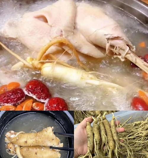 鲜人参炖土鸡的做法是什么？如何炖出营养又美味的土鸡？