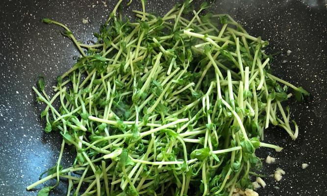 鲜嫩QQ豌豆苗怎么做？有哪些简单易学的做法？