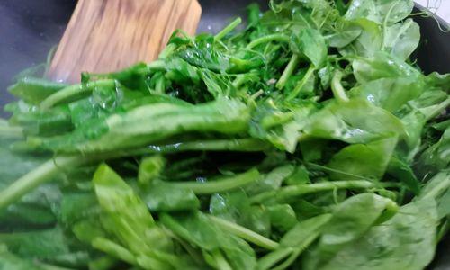 鲜嫩QQ豌豆苗怎么做？有哪些简单易学的做法？