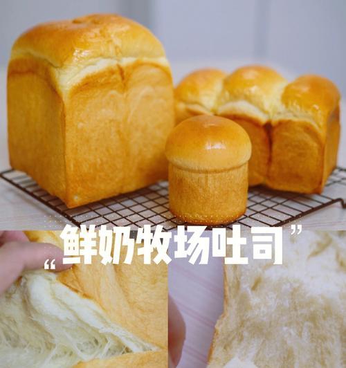 鲜奶土司老面法怎么做？步骤和技巧有哪些？