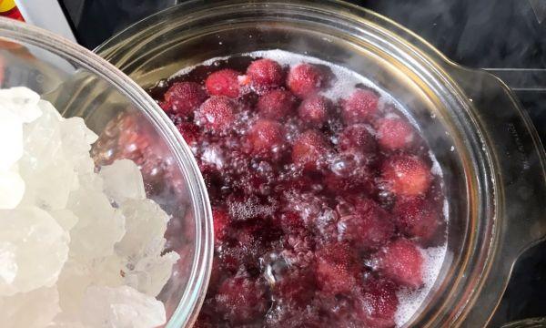 夏日杨梅汤怎么做？有哪些健康益处？