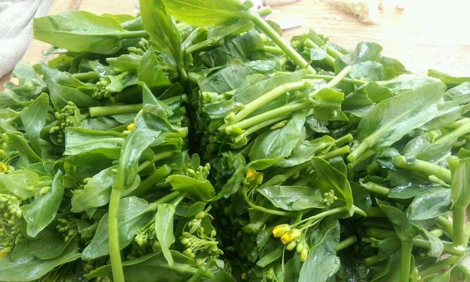 虾米油菜薹怎么做？有哪些步骤和技巧？