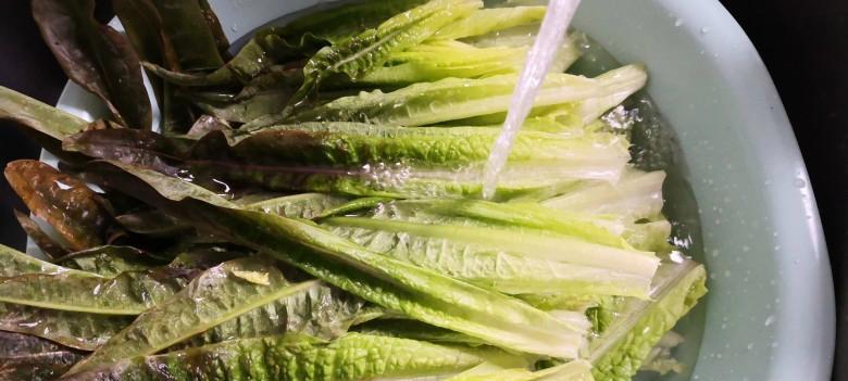 虾米莴笋叶的做法是什么？如何做出美味的莴笋叶菜肴？