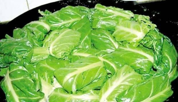 虾米菜包子怎么做？详细步骤和技巧是什么？