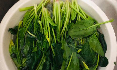 菠菜炒鸡胗怎么做？步骤和技巧有哪些？