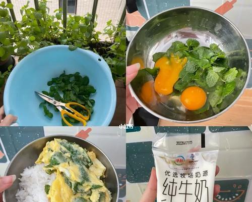 薄荷炒蛋怎么做？薄荷炒蛋的正确步骤是什么？