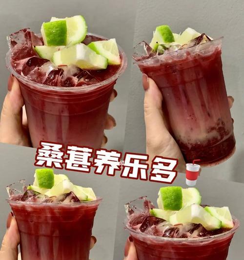 桑葚饮料怎么做？制作桑葚饮料的步骤和常见问题解答？