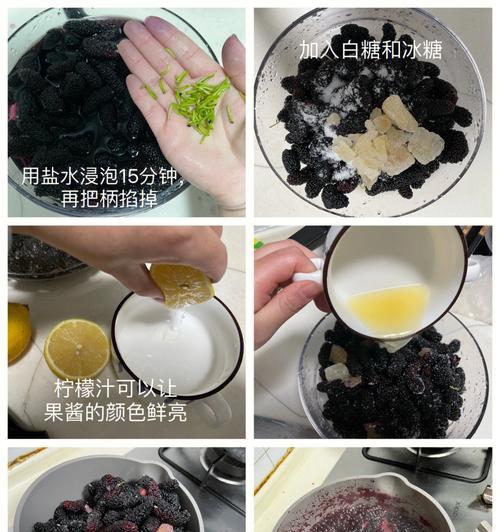 桑葚果酱酸奶怎么做？制作过程中常见问题有哪些？