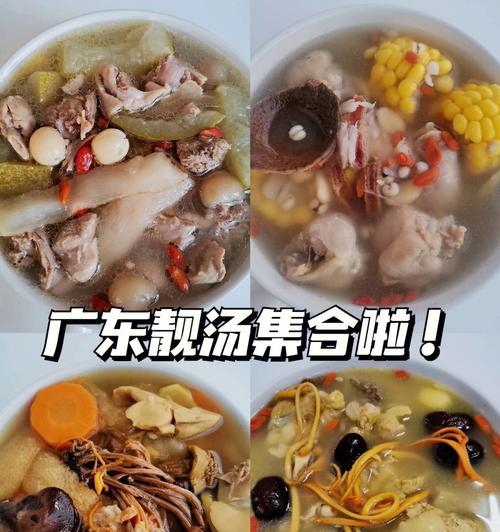 筒骨煲茶树菇怎么做？步骤和技巧有哪些？