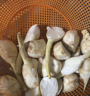 清炒茨菰怎么做？步骤和技巧有哪些？