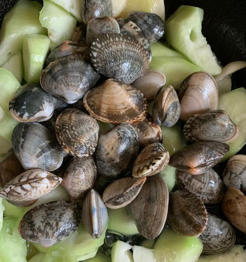 茼蒿清炒蛤蜊肉的做法是什么？如何确保蛤蜊肉鲜嫩无腥味？