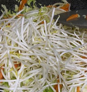 孜然炒饼丝怎么做？有哪些步骤和技巧？