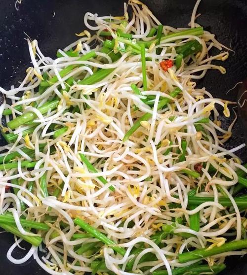 自制绿豆芽沙培法怎么做？步骤和注意事项是什么？