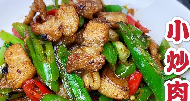 青椒豆豉肉丝怎么做？详细步骤和技巧是什么？