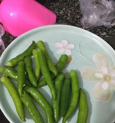 香辣鲜美，青椒嫩仔鱼的烹饪技巧（教你如何选购嫩仔鱼）