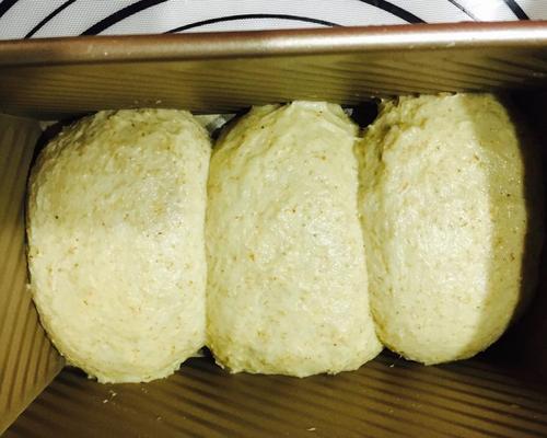 健康美味，全麦土司的制作（突破传统）