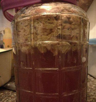 自晾葡萄酒的制作方法（掌握自家酿葡萄酒的秘诀）